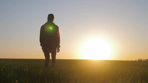 Farmer Girl Walking Beside Green Wheat Field Enjoying the Sun. Female Farmer in Plaid Shirt and Hat