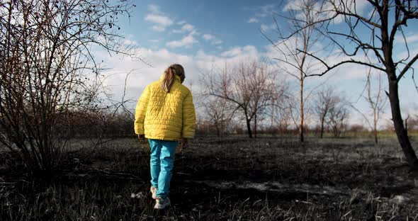 Little Homeless Girl in Colorful Ukrainian Clothes Walks on a Burnt Field