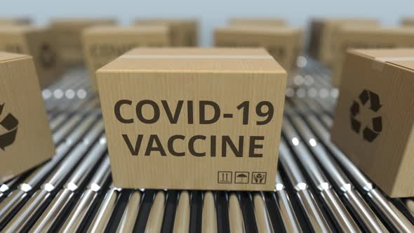 Boxes with COVID-19 Coronavirus Disease Vaccine on Conveyors