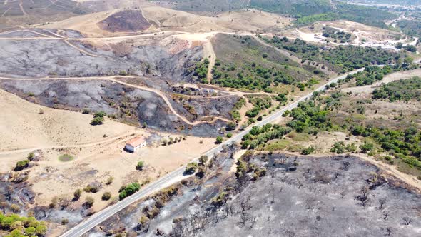 Aerial drone view of burned forest next to the road. Forest fire. Climate change, ecology and land.