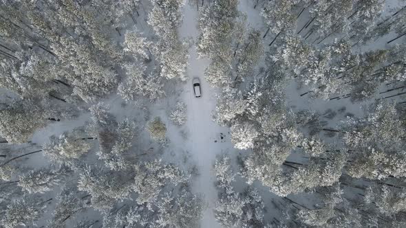 White car in snowy forest from above