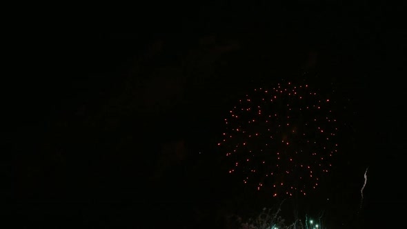 Colorful Firework display at night on sky background