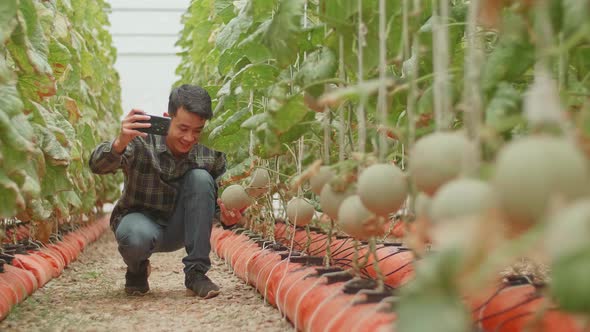 Asian Farmer Selfie With Melon In Greenhouse Melon Farm