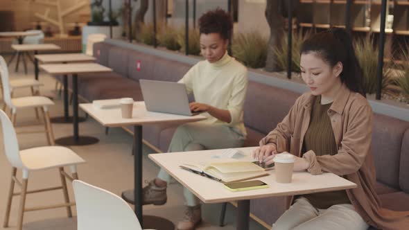 Woman Drinking Coffee and Working in Cafe