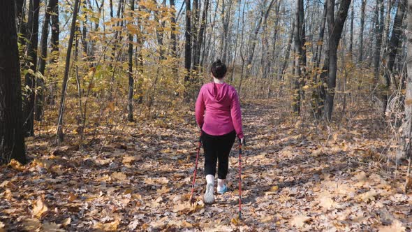 Nordic walking. Beautiful chubby woman doing daily workout before work in city autumn park