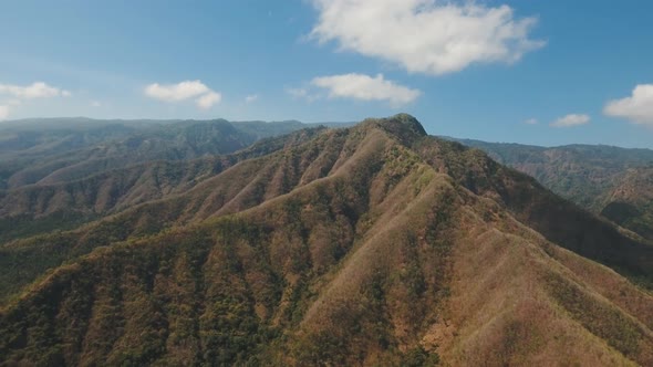 View of Mountain Forest Landscape