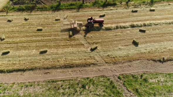 Agricultural Tractor Collecting Hay Into Square Bales on the Field