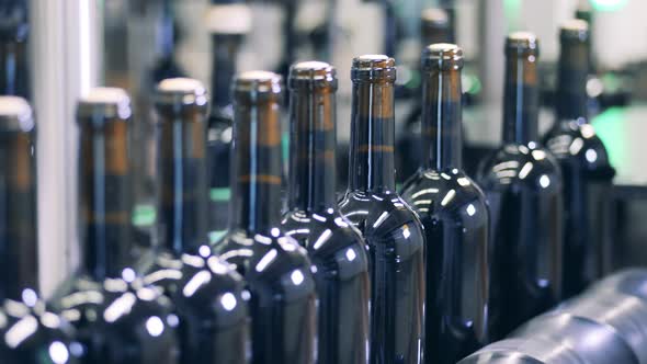 Sealed Wine Bottles Move Along the Conveyor