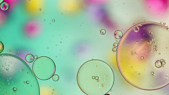 Abstract Colorful Food Oil Drops Bubbles 195
