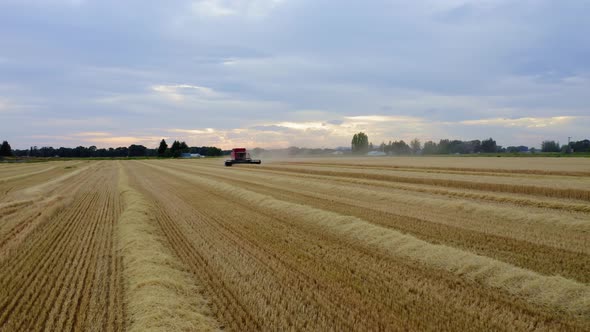 Wheat Fields