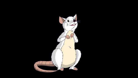 White rat is sitting and talking