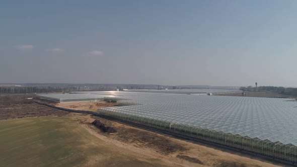 Flying Over Glass Greenhouses Growing Plants in Large Industrial Greenhouses Panoramic View 