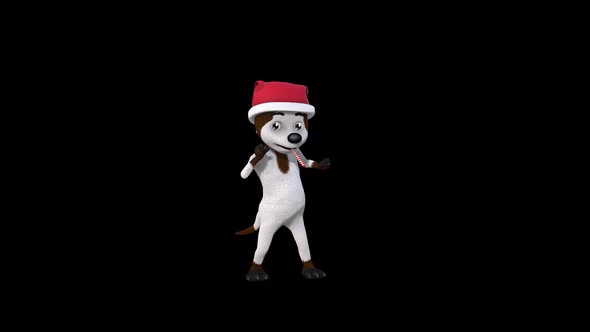 Cartoon Funny Dog Dance 1