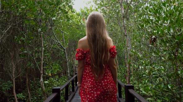 Rear View of Young Woman in Red Dress Walks Along Wooden Path Among Green Trees