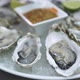 Chef Puts Slice of Lime on Plate with Oysters and Sauce - VideoHive Item for Sale