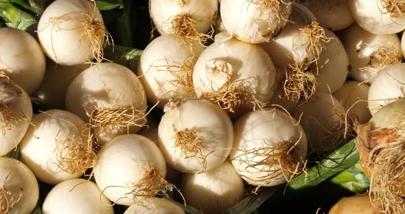 Fresh vegetables on stalls in a southern France market. Onions