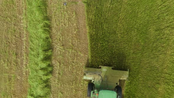 Combine harvester mowing Wheat, Aerial view