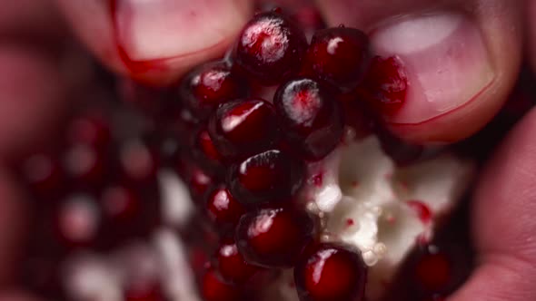 Pomegranate Close Up. Red Fresh Fruit Clasped Hands Macro Shot. Pomegranate Is an Excellent