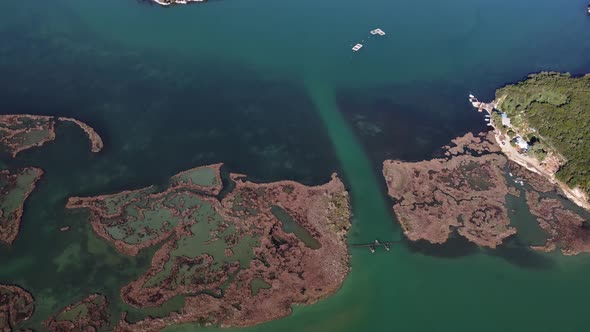 Aerial drone view of beautiful wetlands scenery on a sunny day