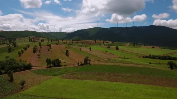 Windmills Field