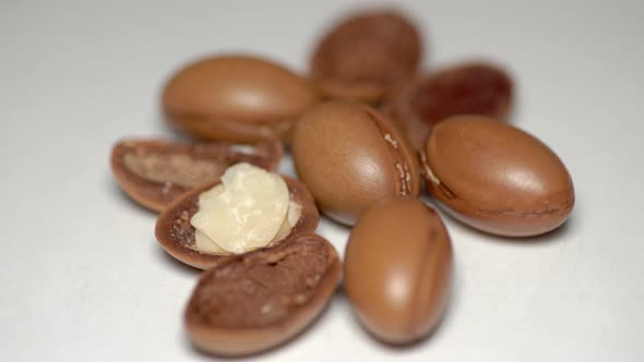 Argan Seeds on a White Background