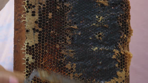 Beekeeper Unseal Honeycomb