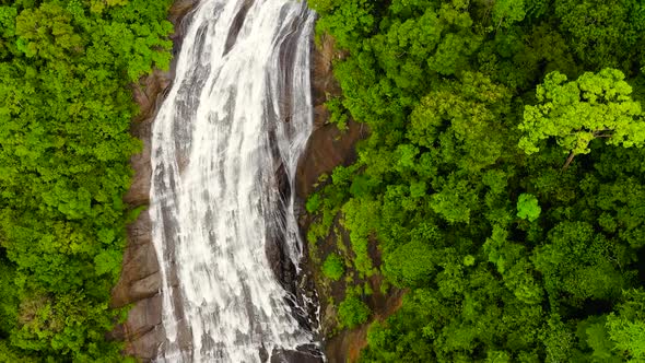 Waterfall Among the Rainforest and Vegetation