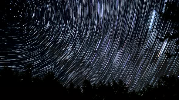 Star Trails in the Night Sky