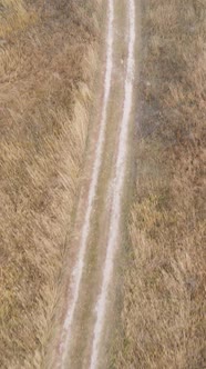 Vertical Video a Dirt Road Through an Empty Field