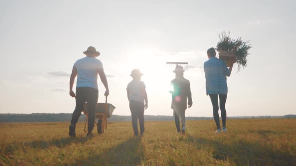 Family Farmers Are Walking Along the Field at Sunset, Carrying Box with Fresh Vegetables and Tools