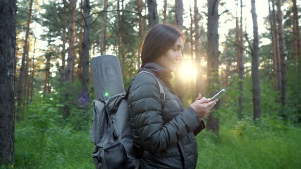 Brunette with a Backpack Stands Among the Pines and Looks at the Phone in the Sunset