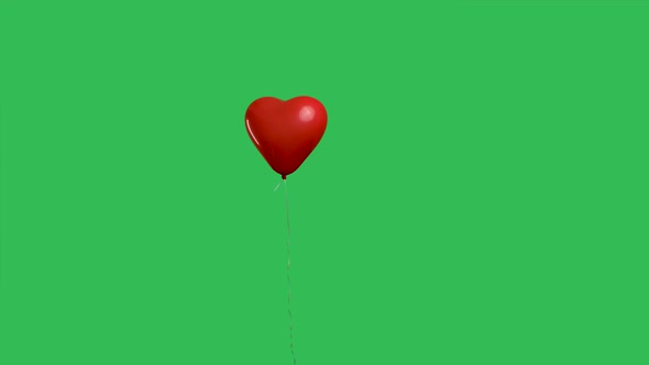Red Heart Shaped Balloon Hanging in Air and Then Falls Down Against Background of Green Screen