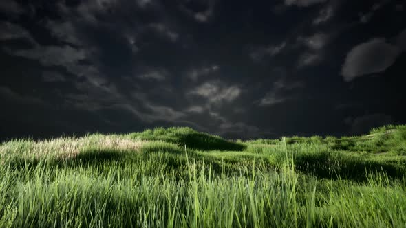 Storm Clouds Above Meadow with Green Grass