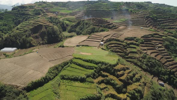 Farmland in a Mountain Province Philippines, Luzon