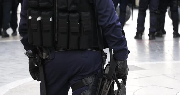 Riot Police France alt