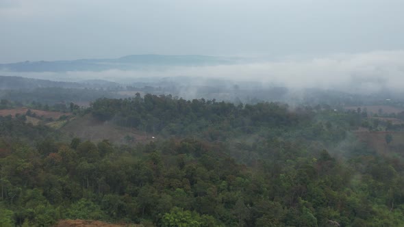 Aerial landscape view of greenery rainforest and hills on foggy day by drone