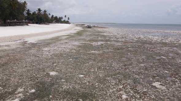 Low Tide in the Ocean Near the Coast of Zanzibar Island Tanzania