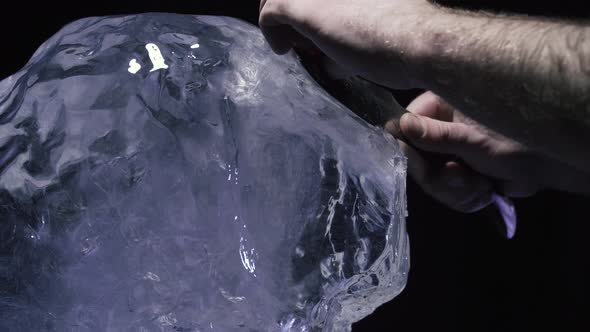 Profile View of an Ice Statue of a Lion Being Carved Out with a Knife Art