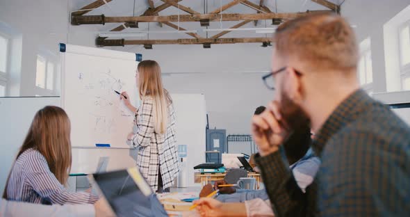 Professional Business Expert Woman Drawing a Marketing Diagram on Flipchart, Multiethnic Employees