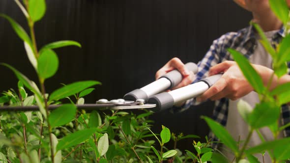 Woman with Pruner Cutting Branches at Garden