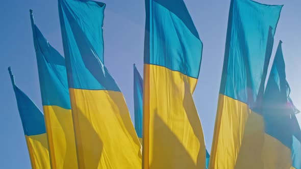 the Flag of Ukraine a Silk Flag Waving Against the Background of the Setting Blue Sky on a Large