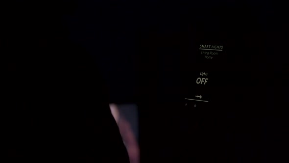 Close Up of Man Using a Voice Activated Application To Turn on the Lights in the House