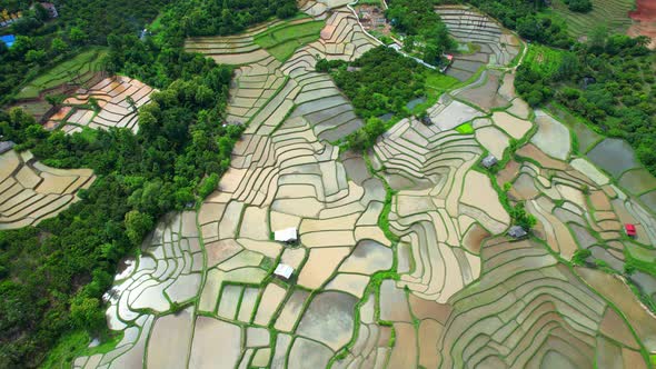 Aerial video of drones flying over rice terraces 