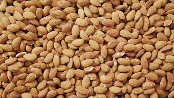 Video of almonds on wooden background