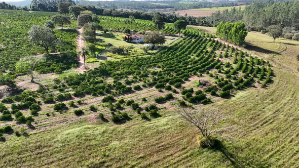 Countryside scenic aerial landscape. Rural life scenery.