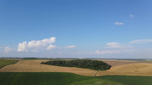 View From The Drone Wheat Field And Corn 