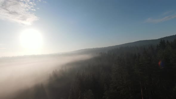 Aerial Fpv Drone Flying in the Misty Forest with Morning Fog on Sunrise