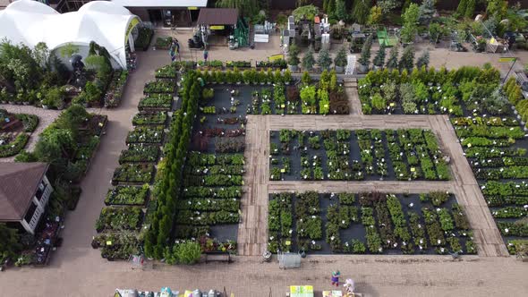 aerial view of garden shop. working people. potted plants