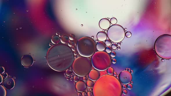 Abstract Colorful Food Oil Drops Bubbles 250