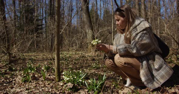 beautiful girl picks flowers in the forest. overall plan